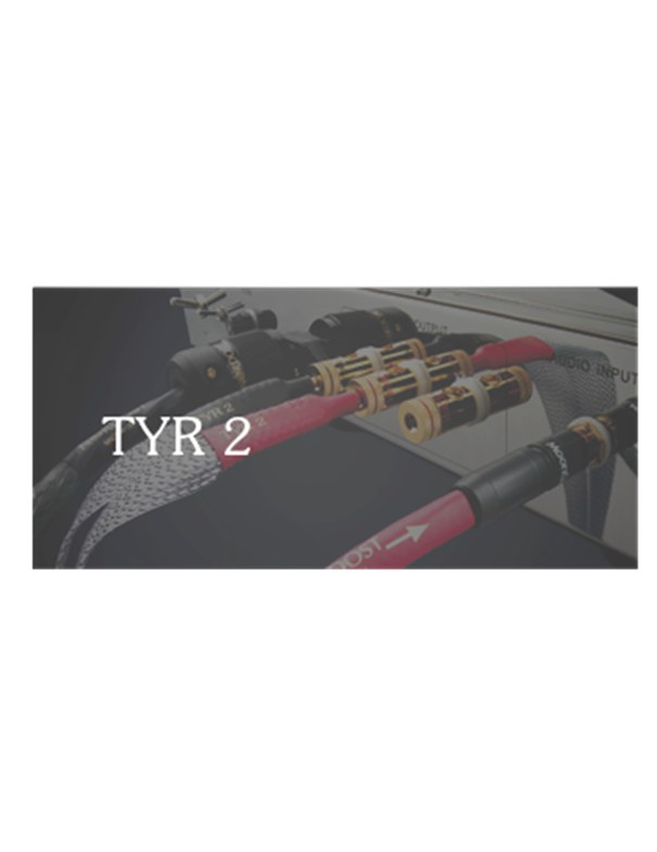 TYR 2